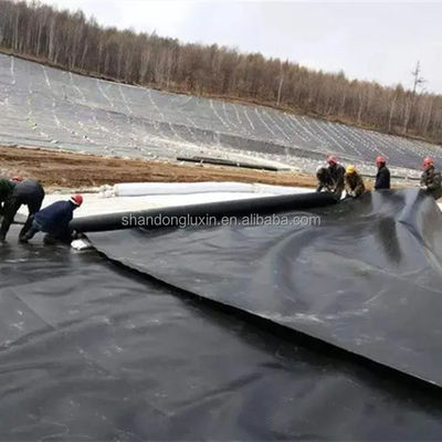 산업 쓰레기 매립장 프로젝트용 HDPE 덤 라인어 솔루션 능력 그래픽 디자인 제작
