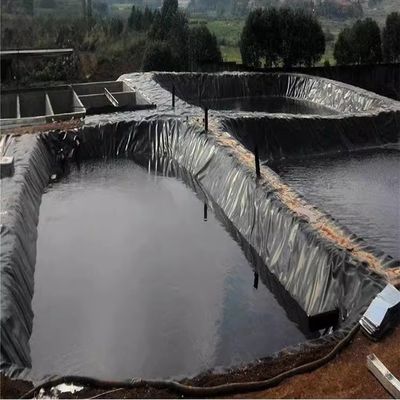 부드러운 지질막 HDPE 저수지 라인어 음용물 저수지의 그래픽 디자인