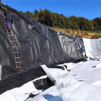 부드럽고 내구성 있는 HDPE 저장소 라인어