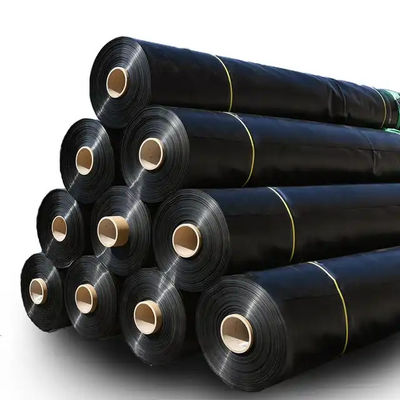 2mm HDPE 쓰레기 매립지 용 생선 연못 라이너 프로젝트 솔루션 능력 그래픽 디자인