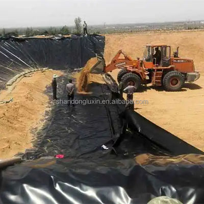 케냐 생선 농장 새우 연못 라인러에 맞춤형 HDPE 지오 멘브라인