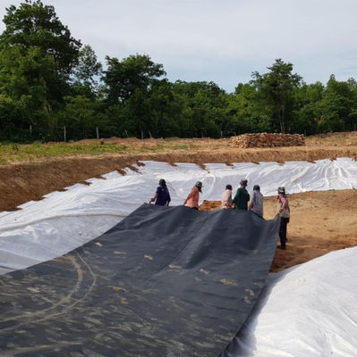 파란색 HDPE 지오 멘브라인 0.2-3.0mm 덩치 덤 라인어 저수지 광업 새우 농장 연못