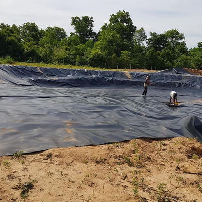파란색 HDPE 지오 멘브라인 0.2-3.0mm 덩치 덤 라인어 저수지 광업 새우 농장 연못