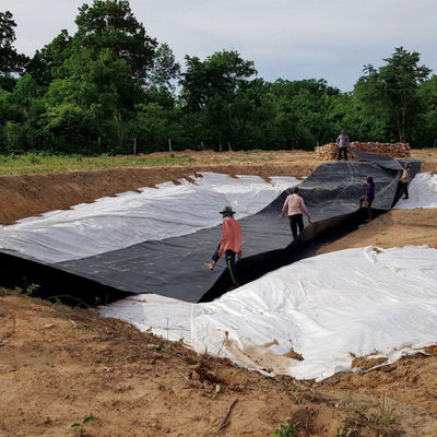 EPDM EVA HDPE 연못 라인어 플라스틱 시트 생선 새우 수영장 농장 연못??