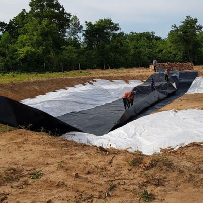EPDM EVA HDPE 연못 라인어 플라스틱 시트 생선 새우 수영장 농장 연못??