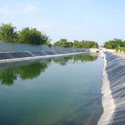 1m-8m 폭 HDPE 지오 림프 라인어 물고기 농장 연못 프로젝트 솔루션 능력