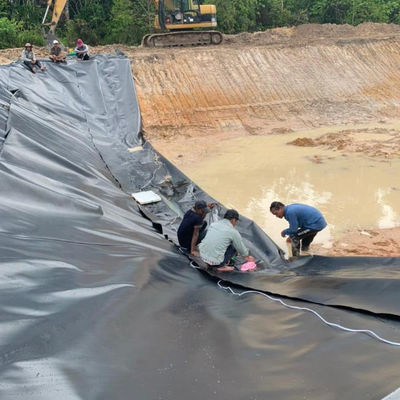 1m-8m 폭 HDPE 지오 림프 라인어 물고기 농장 연못 프로젝트 솔루션 능력