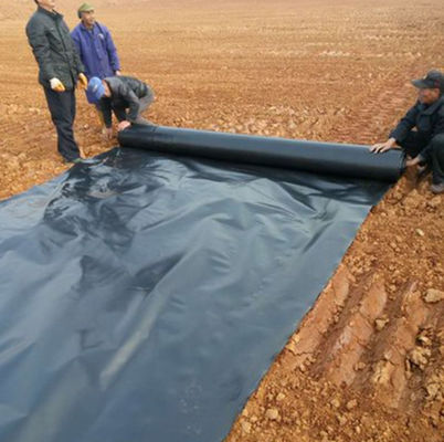 UV HDPE 연못 라인어 방수 지오 엠브라인 1mm 두께 덤 라인어 평방 미터