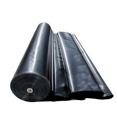온라인 기술 지원 HDPE 지질막 수산업용 생선 연못 라인어 방수