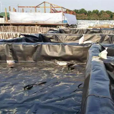 1mm HDPE 지오 엠브란 롤, 물고기 연못 부리 및 수산물 농장 장비용