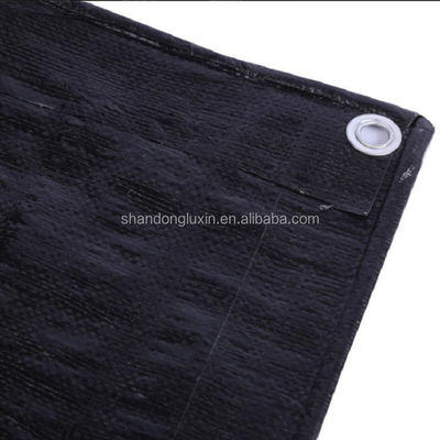 검은색 PE 텐플린 10 X 20 텐플 롤 200 Gsm 폭 2-12m의 UV 저항 텐플린
