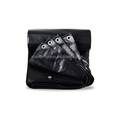 검은색 PE 텐플린 10 X 20 텐플 롤 200 Gsm 폭 2-12m의 UV 저항 텐플린