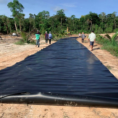 생선 새우 재배 HDPE 지오 엠브란 0.5mm 폴리에틸렌 라인어 블랙 롤 수질