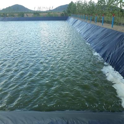 생선 새우 재배 HDPE 지오 엠브란 0.5mm 폴리에틸렌 라인어 블랙 롤 수질