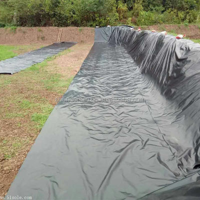 ASTM GRI-GM13 인공 호수용 1mm HDPE 지질막 생선 연못 라이너