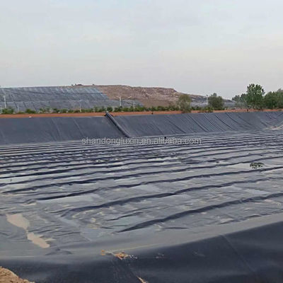 1-6m 너비 HDPE 평평한 지오 림프로 물고기 연못 라인러 반환 및 교체 제공