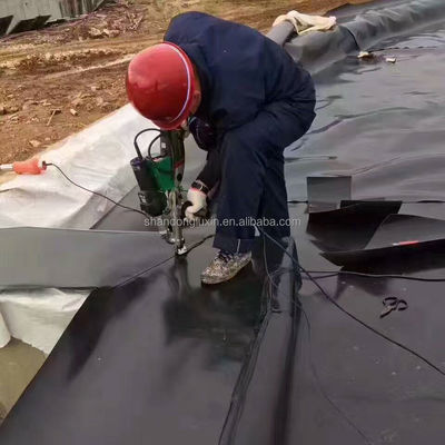 그래픽 디자인 수산업에 대한 HDPE 덤 라인어 어류 재배 프로젝트 솔루션 능력