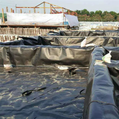 1m-8m 너비 두꺼운 질감 HDPE 지오 멘브라인 물고기 연못 및 쓰레기 매립지 1mm 두께