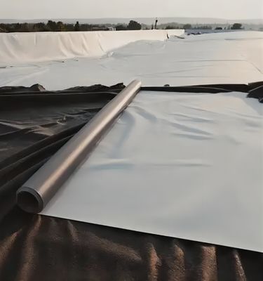 HDPE 방수 설계용 2mm의 직물 지오 엠브라인