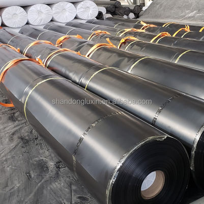 지질막 PVC LDPE HDPE 생선 연못 라인어 덤 라인어 길이 50-200m 두께 0.3mm-2.8mm