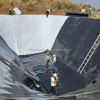 프로젝트 전체 솔루션 산업 디자인 스타일 HDPE 지질막 생선 양식 탱크