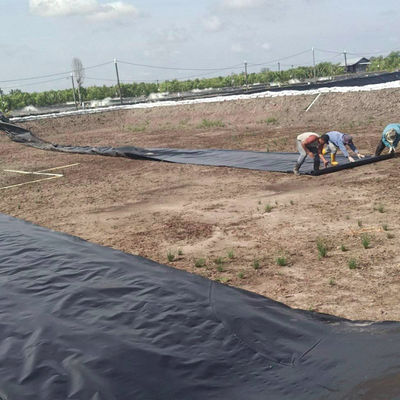 1m-8m 너비 두 배 매끄러운 검은 HDPE 연못 라인어