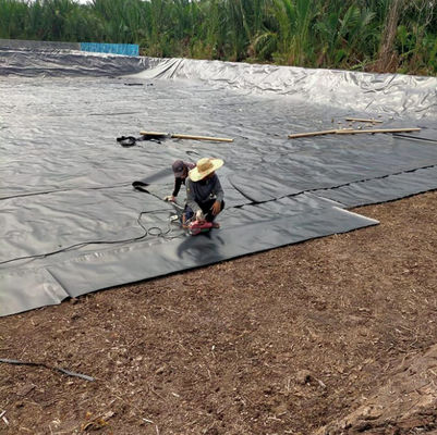 1m-8m 너비 두 배 매끄러운 검은 HDPE 연못 라인어