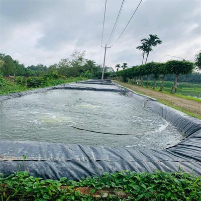 하수 저장소 및 물고기 탱크에 대한 HDPE 엽 플라스틱 외부막