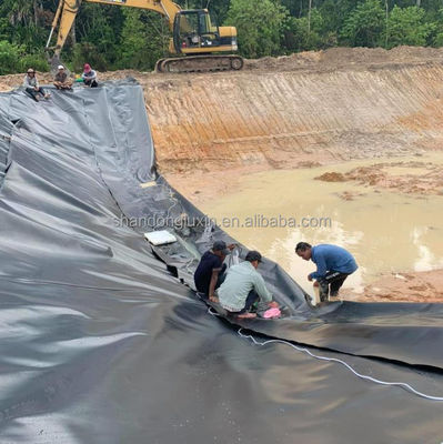 고속도로 호수 및 덤 물고기 연못을위한 검은 이중 매끄러운 표면 0.5mm HDPE 지오 엠브라인
