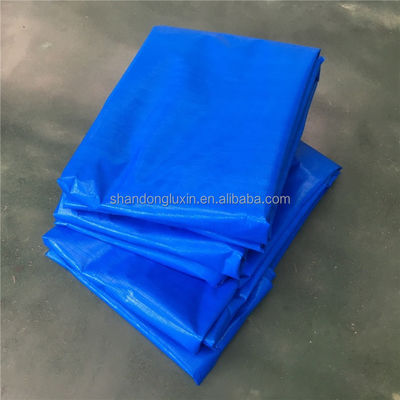 수질성 PE 가루판 70gm 0.1mm 6*6-16*16 밀도와 2-12m 너비