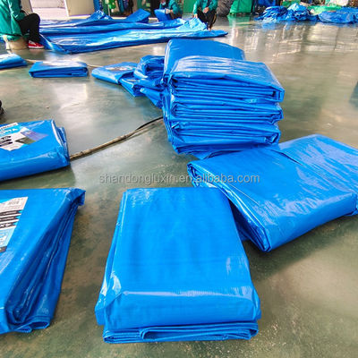 2024 PE 텐플 스트립 HDPE 직물 방수 블루 폴리 텐플 야외 농업용