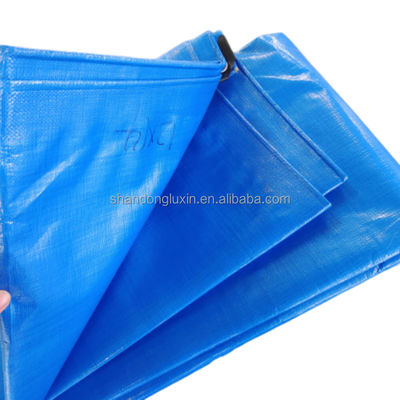2024 PE 텐플 스트립 HDPE 직물 방수 블루 폴리 텐플 야외 농업용