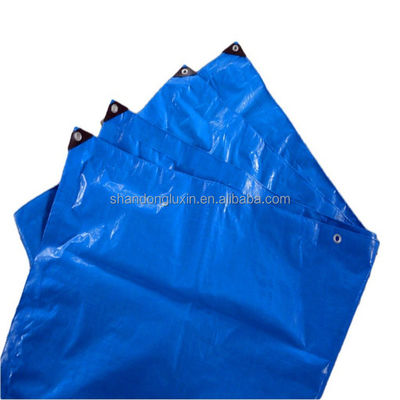 2024 PE 텐플 스트립 HDPE 직물 방수 블루 폴리 텐플 야외 농업용