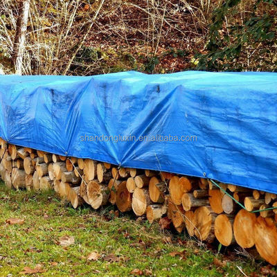 야외 HDPE 직물 및 LDPE 라미네이션 지붕을 위한 파란색 PE 천장