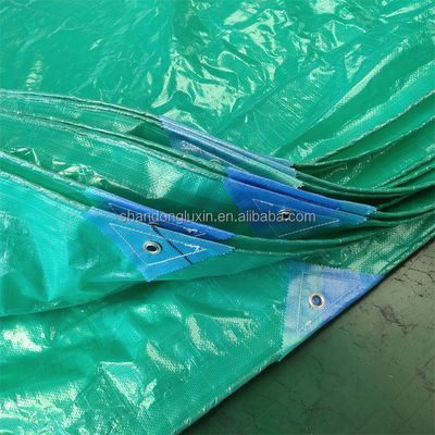 HDPE 직물 맞춤 인쇄 텐포일 자동차 커버 텐포일